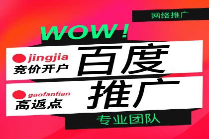 百度优化推广案例：打造高转化率网站